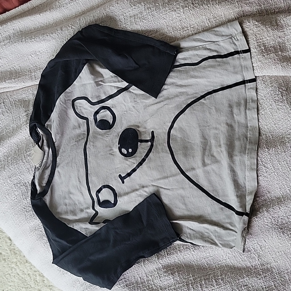 Zara boys 3/4year raglan tee